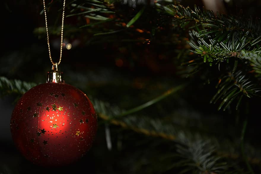 ornament, strom, Vánoce, vánoční strom, Pozdrav, julkula, prosinec, vánoční pozdrav, dekorace, Vánoční čas, pohlednice