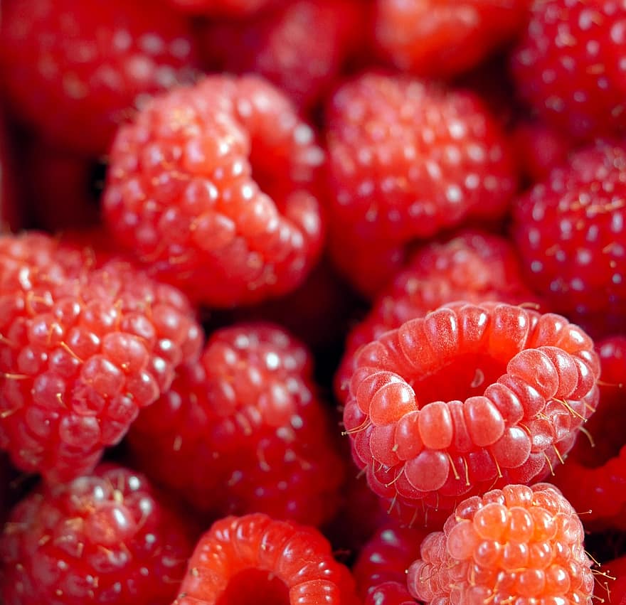 Raspberries, Fruits, Food, Fresh, Healthy, Ripe, Organic, Sweet, Produce, Vitamins