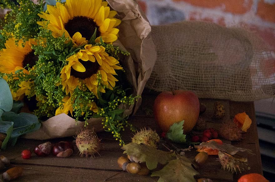 Rusko, slunečnice, ovoce, stálý život, květiny, podzim, list, žlutá, dřevo, sezóna, jídlo
