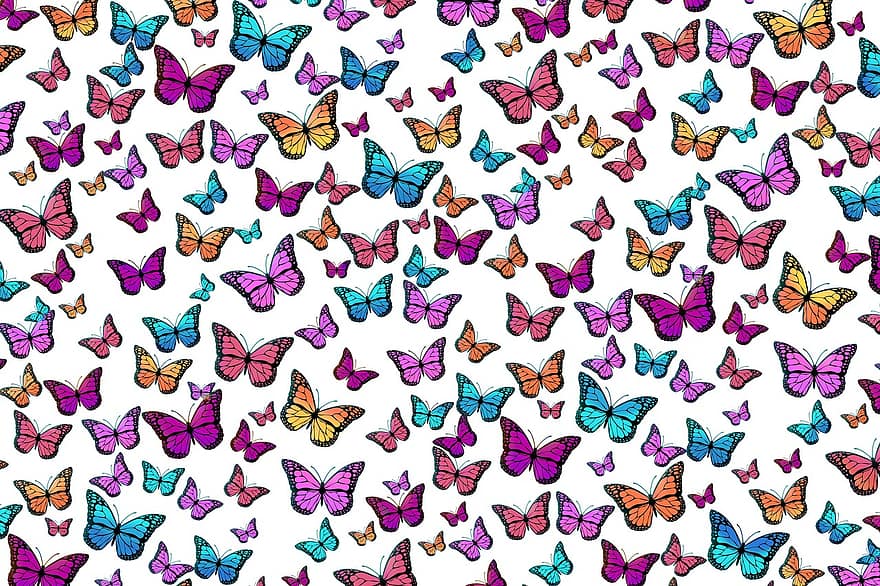 sommerfugler, mønster, sommerfugl, bakgrunn
