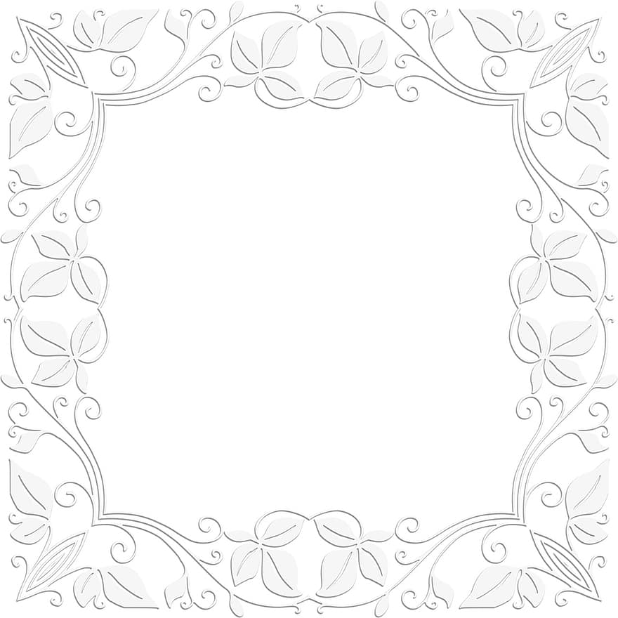 bordure blanche, Cadre, cadre blanc, ornement, décoration, frontière, conception, ruban, étiquette, érable, les frontières