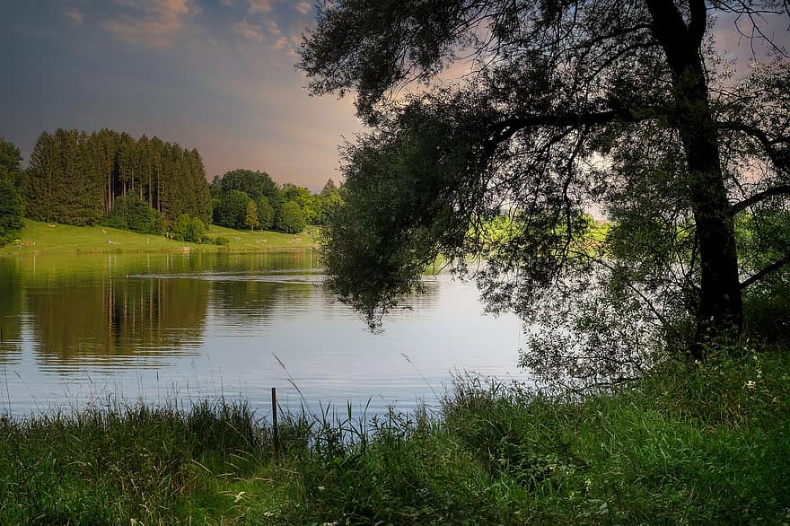 Lake, Tree, Water, Mirroring, Grass, Meadow, Forest, Landscape, Nature, River, Reservoir