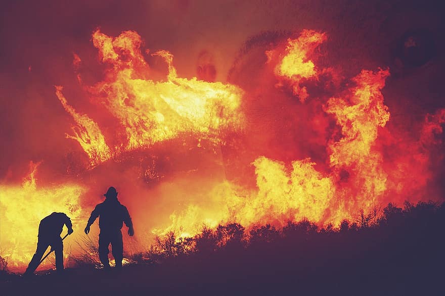 Пожар, огонь, деревья, лес, разрушение, люди, пожарников