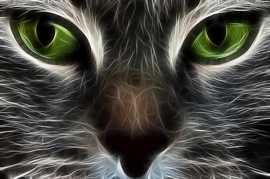 Cat, Fractal, Animal, Eyes, Background, Design