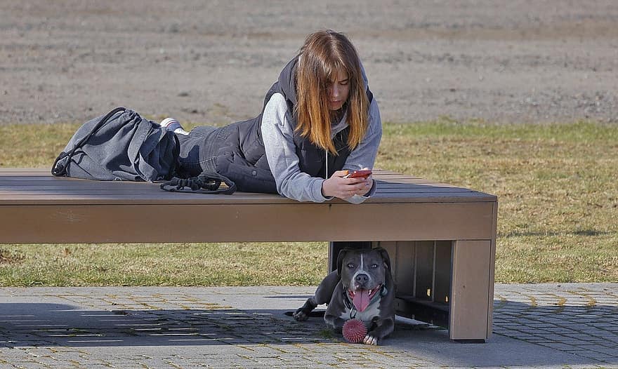 Woman, Dog, Park, Leisure, pets, sitting, cute, one person, looking, purebred dog, lifestyles