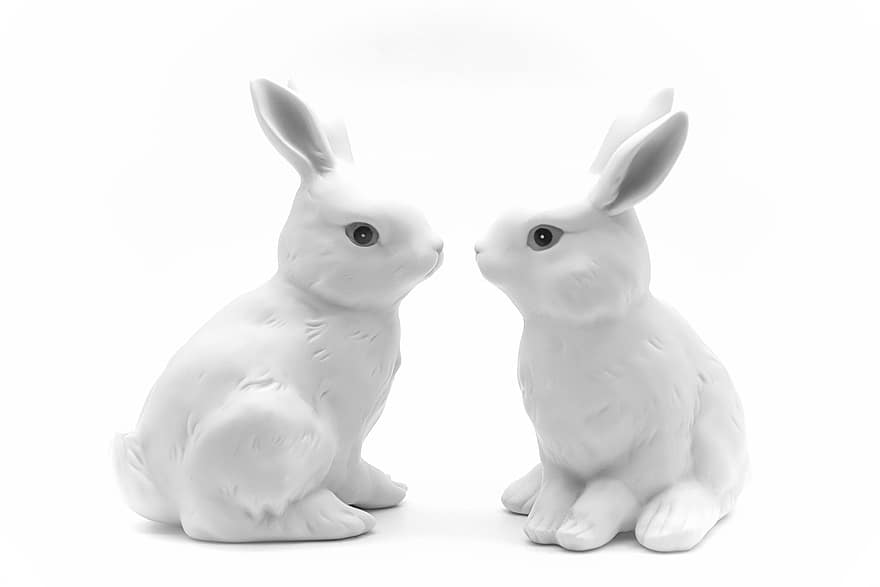 Paskalya, tavşan, Paskalya Tavşanı, dekorasyon, Paskalya festivali, bahar, sevimli, yalıtılmış, Evcil Hayvanlar, küçük, Beyaz arkaplan