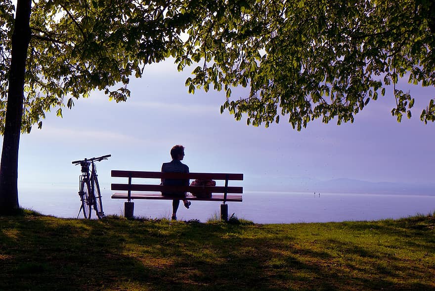 banco, ocio, naturaleza, bicicleta, árbol, hombres, puesta de sol, mujer, sentado, relajación, estilos de vida
