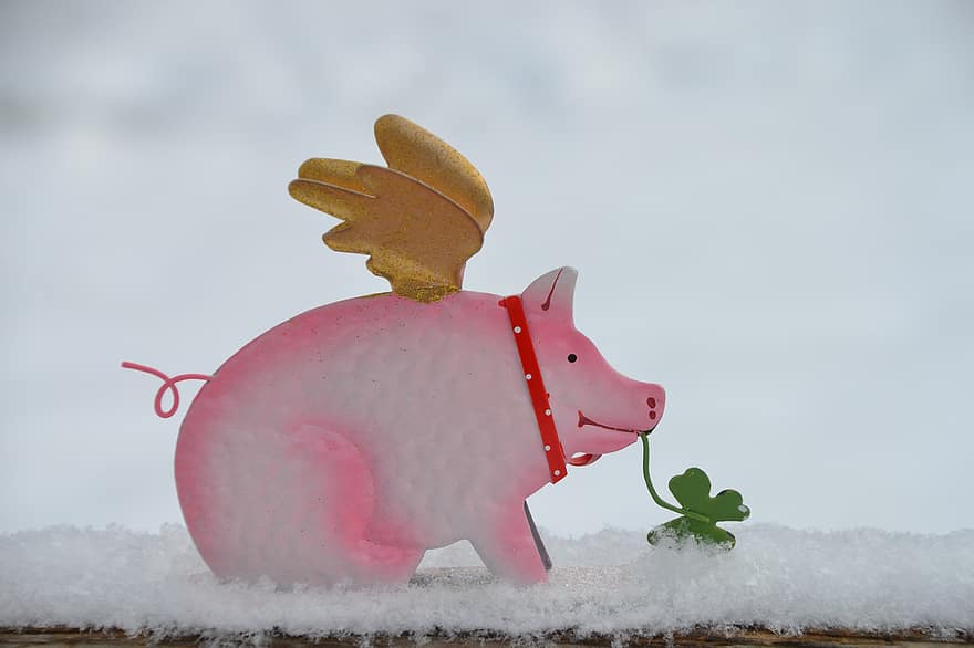 gris, lycklig gris, snö, fyrklöver, vitklöver, nasse, vingar, charm, dekoration, nyår, vinter-