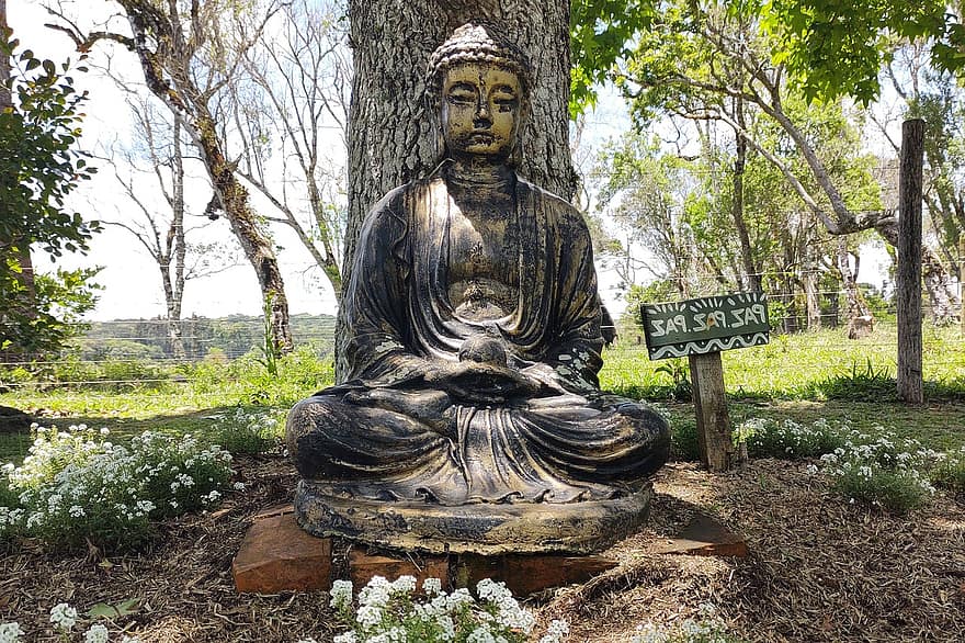 Буда, скулптура, медитация, спокойствие, будизъм, религия, статуя, култури, духовност, медитират, седнал