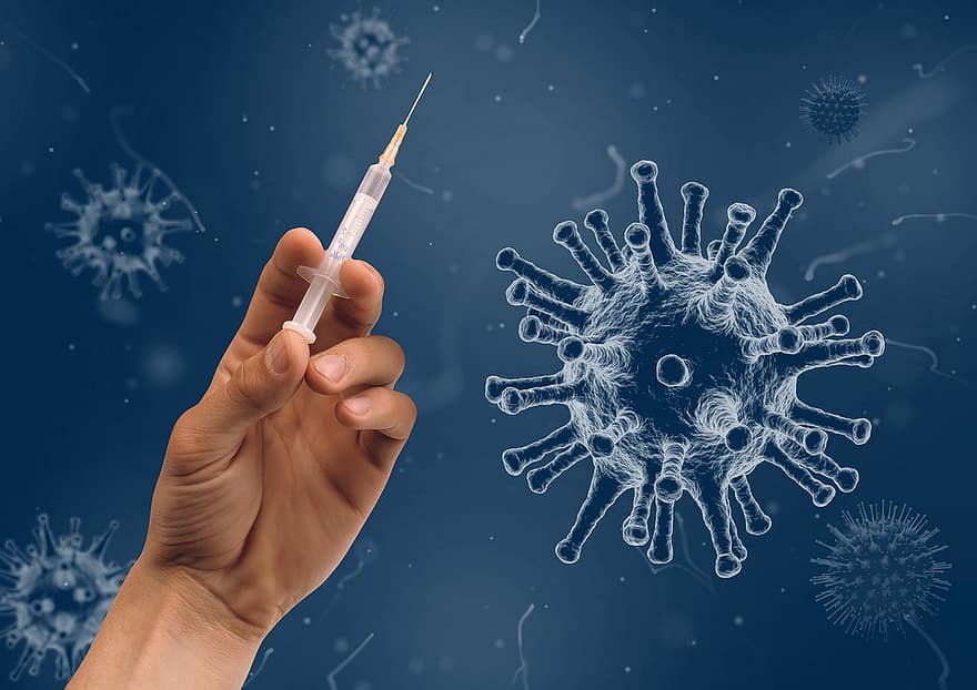 seringa, mão, vírus, injeção, vacinação, coronavírus, vacina, covid-19, sérum, corona, Resultado do teste