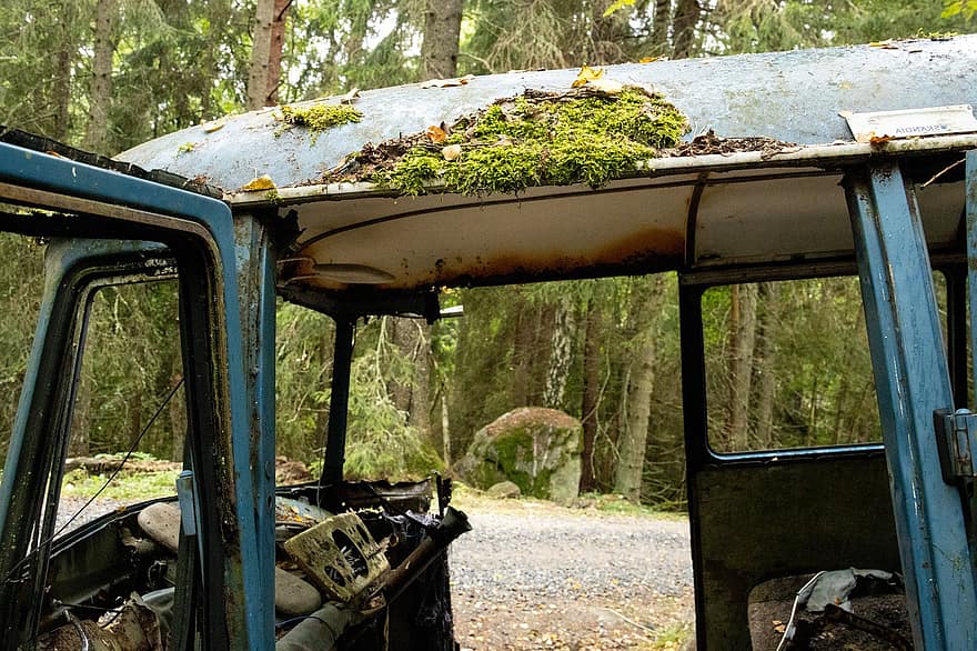 carro abandonado, acidente de carro, floresta, madeiras, campo