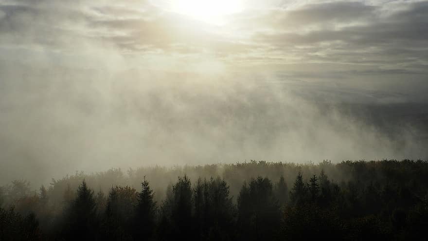 mgła, las, drzewa, Natura, drzewo, krajobraz, Góra, pogoda, Chmura, niebo, jesień