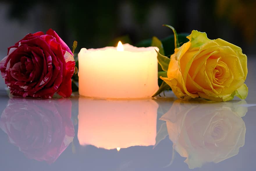 rožės, žvakė, atspindys, gėlės, pora, žiedlapių, rožių žiedlapiai, žydi, žiedas, rožė, žvakidė