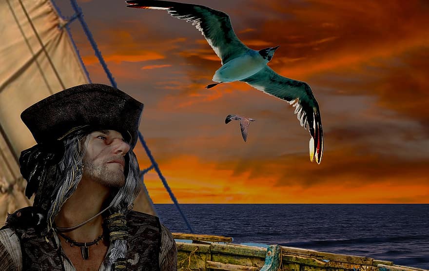 segling, pirat, segelbåt, hav, havsfåglar, försäljning, båt, himmel, horisont, solnedgång, brun båt
