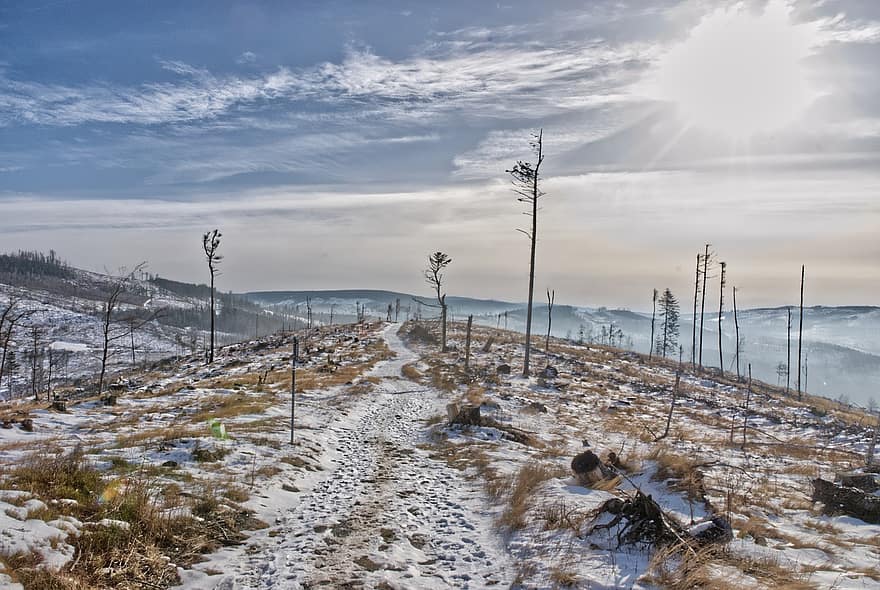 invierno, naturaleza, viaje, exploración, al aire libre, Polonia