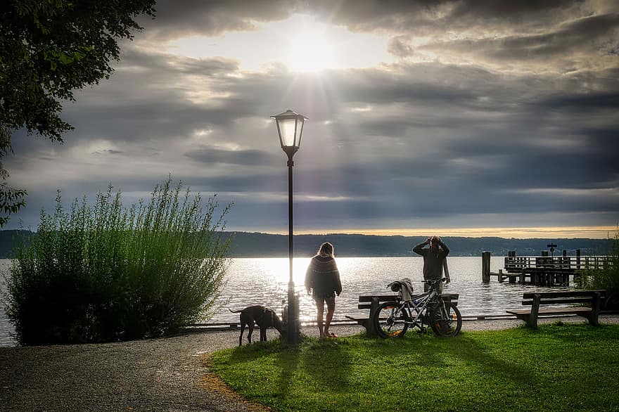 езеро, вода, парк, Облачно небе, сутрин, изгрев, слънчева светлина, слънчеви лъчи, разходка, свободно време, куче