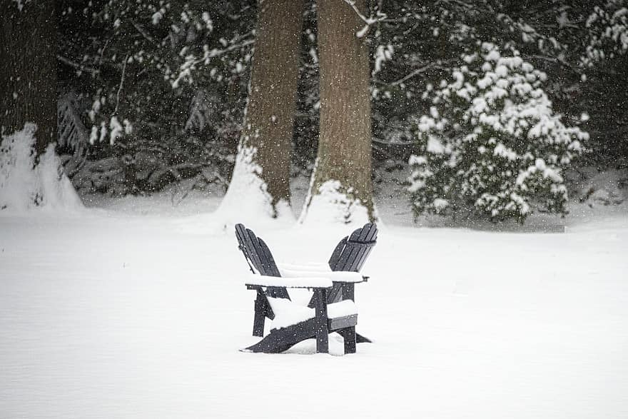 śnieg, zimowy, krzesła, Natura, Nowa Anglia, na dworze, drzewo, las, pora roku, ławka, drewno