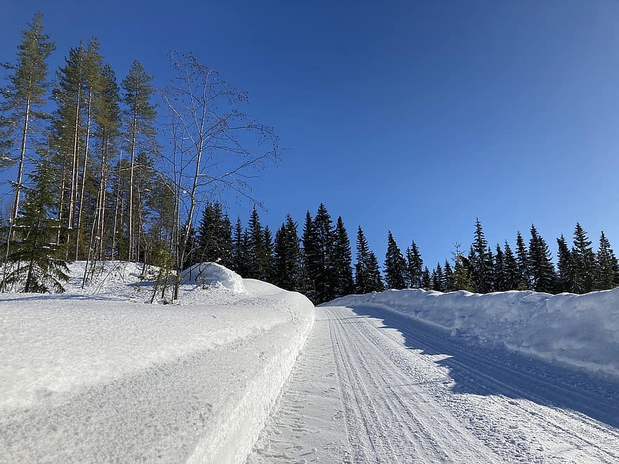 žiemos kelias, sniegas, žiemos peizažas, stogo ledas, sniego kraštovaizdis, Suomija, šalta, žiemą, mėlynas dangus, pobūdį, užšaldyti