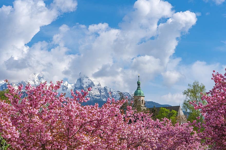 Flores de cerezo, cereza ornamental, arboles, cielo, nubes, montañas, primavera, naturaleza, paisaje, Torre de la iglesia, floración