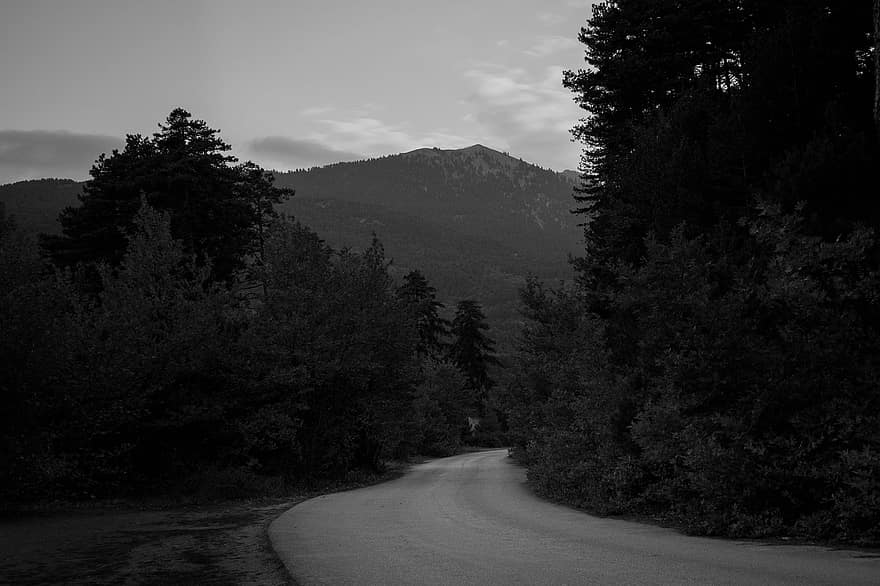 la carretera, campo, rural, montaña, paisaje, bosque, árbol, viaje, en blanco y negro, hierba, verano