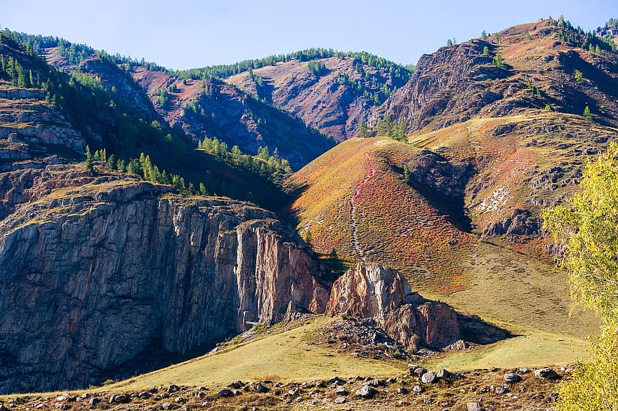 kalns, klints, raksturs, Altaja kalni, ieži, rudenī, kritums, koki, ainavu, vasarā, mežs