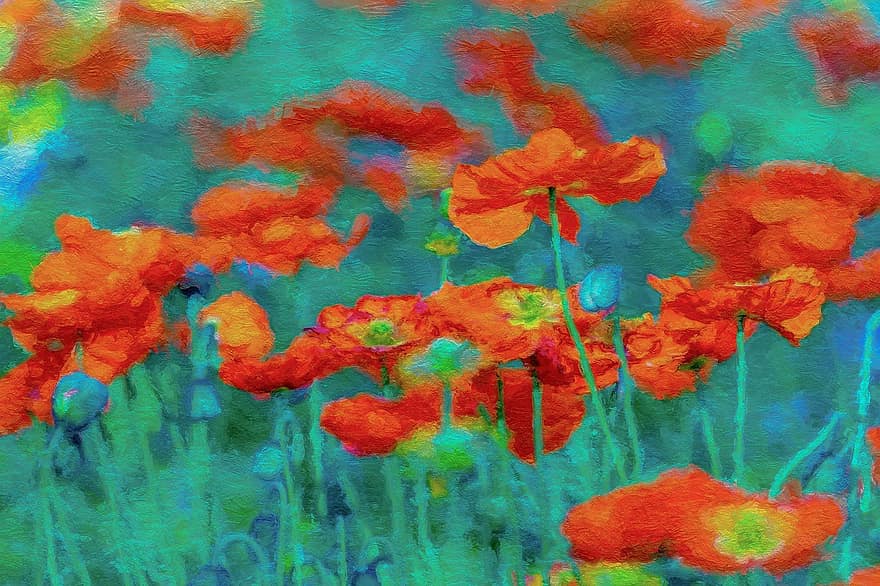 Oil Painting On Canvas, Poppies, Spring, Flower, Blossom, Summer, Colorful