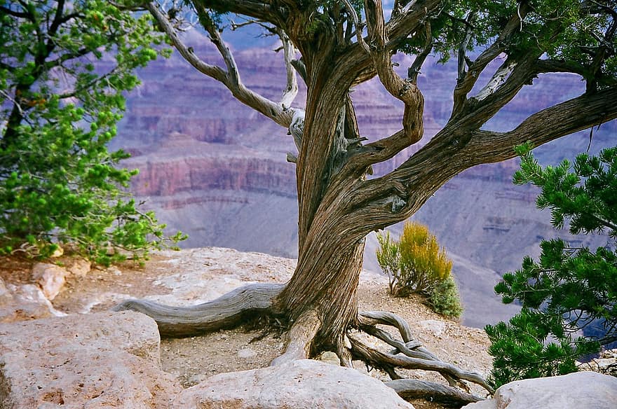 Grand Canyon, canyon, dal, klint, kløft, klipper, naturskøn, turisme, geologi, arizona, natur