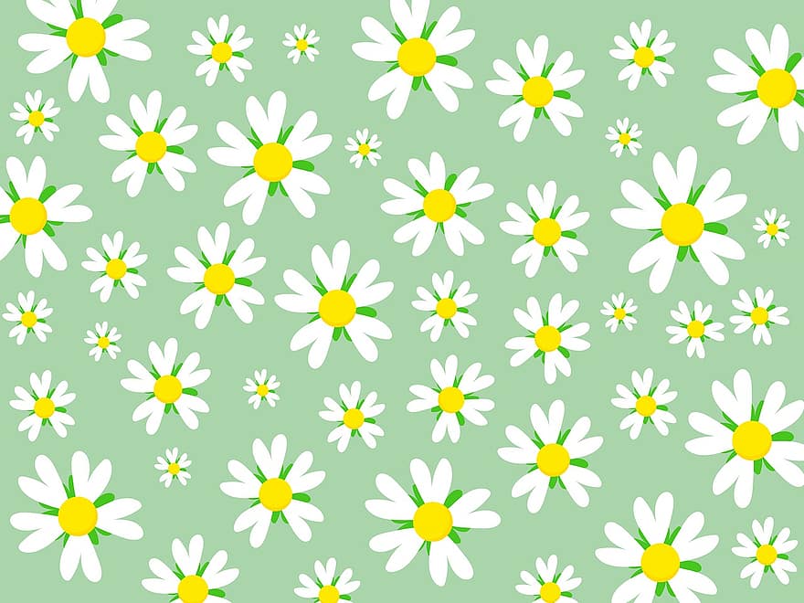 Hintergrund, Muster, Blumen, Tapete, Blumen-, Blütenblätter, blühen, nahtlos, dekorativ, Hintergründe, Vektor