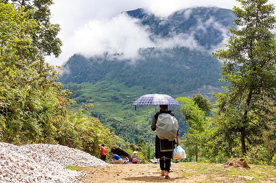 Вьетнам, са па, женщина, ходить, зонтик, дорожка, деревья, гора, природа, пейзаж, люди
