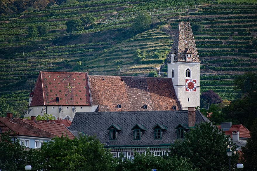Spitz, Austria, parohie, biserică, vin, struguri