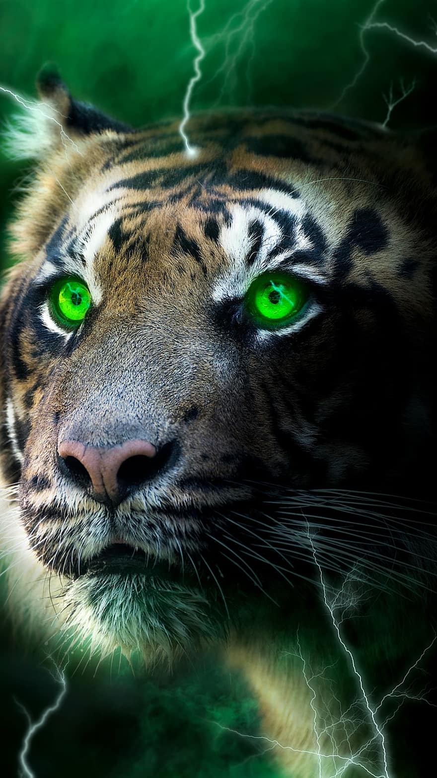 Tigre, relámpago, oscuro, brillar, verde, niebla, papel pintado, felino, animales en la naturaleza, cabeza de animal, gato no domesticado