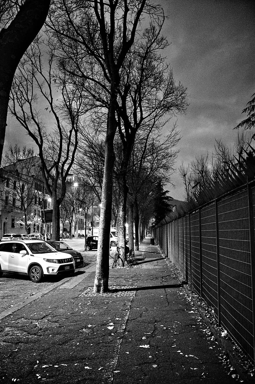 monocromo, arboles, calle, coches, en blanco y negro, árbol, coche, arquitectura, vida en la ciudad, paisaje urbano, antiguo