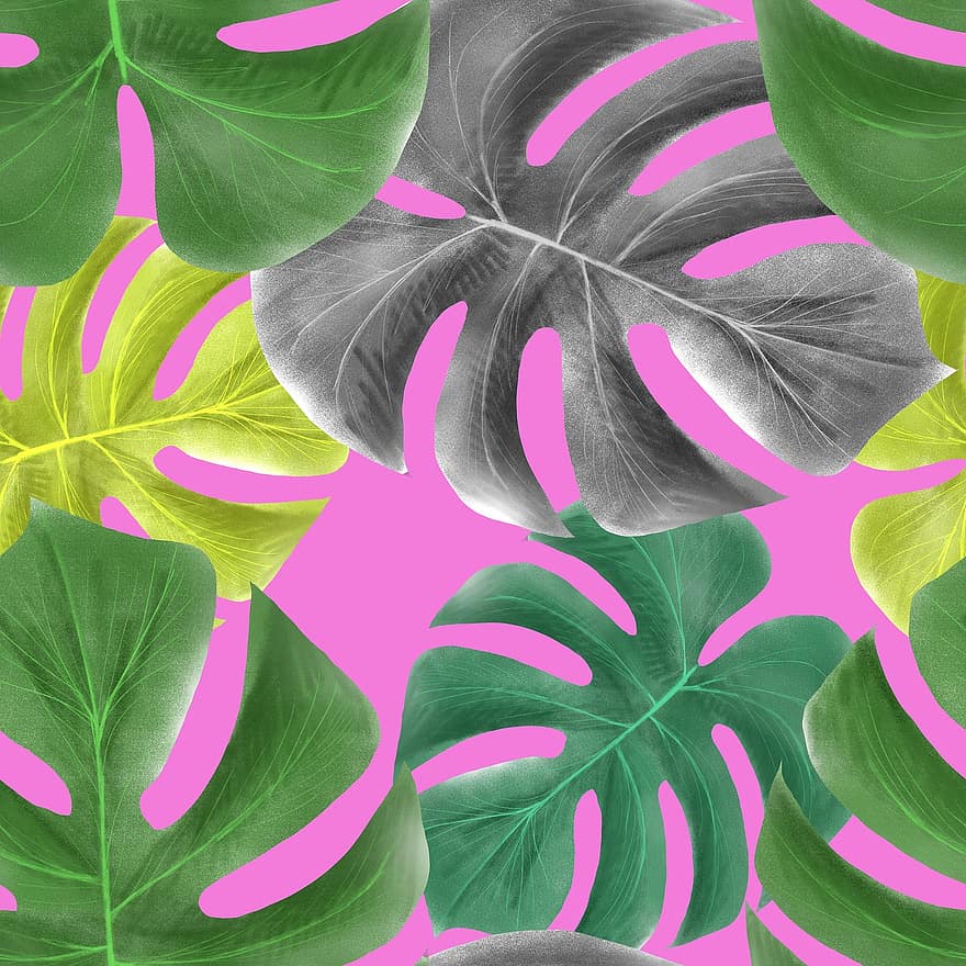 Verdes tropicales, hojas, diseño, imagen, naturaleza, planta, verde, jardín, verano, ilustración, frescura