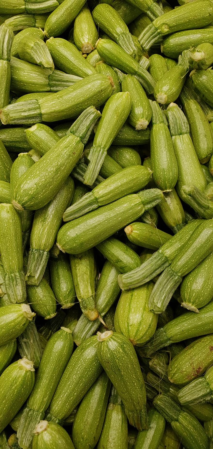 zucchini, grönsaker