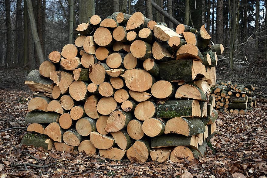 dřevo, protokoly, kmen, palivové dříví, Kousky dřeva, dřevěný, lesnictví, textura, odlesňování, zásobník, les
