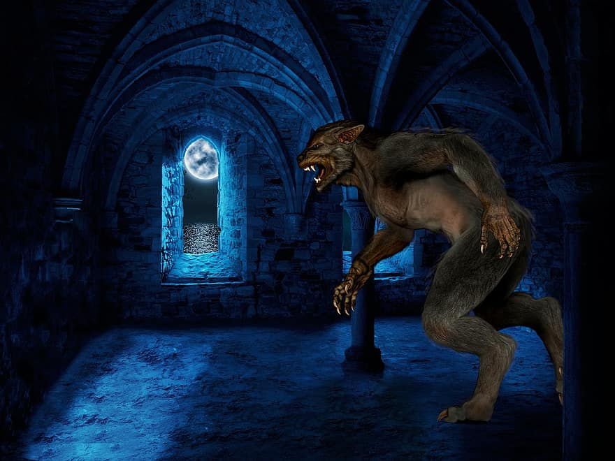 Werewolf, Luna, Castle, Window, Night, Full Moon, Monster, Lycanthropy, Beast, Creature, Fangs