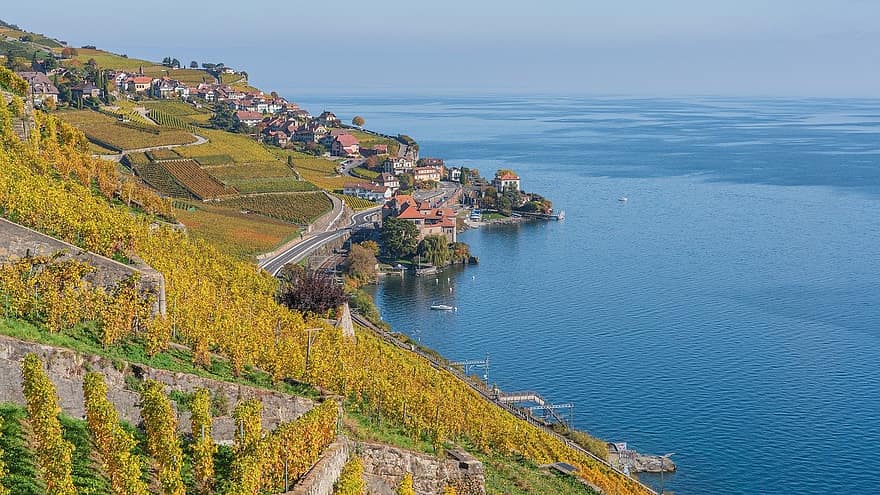 Lavaux, lake geneva, Sveits, Vaud, vinterrasser, landskap, by, landsby, natur, å reise, utforskning