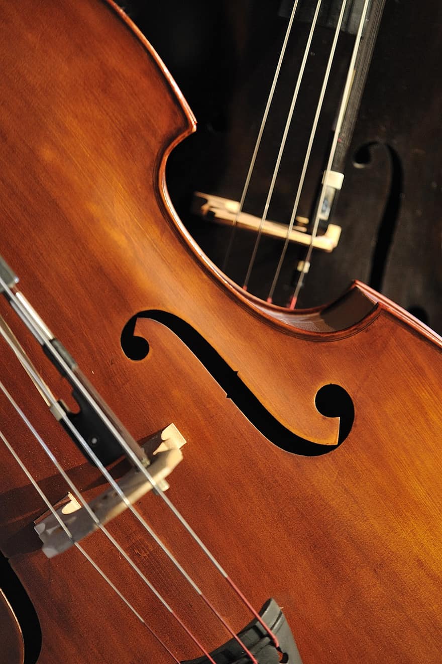 bas viool, muziek-, muziekinstrument, snaarinstrument, strings, klassieke muziek, detailopname, spelen, muziek instrumenten, concert, bas
