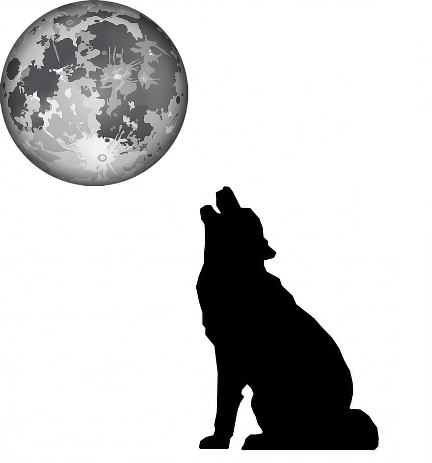 Silhouette, Black, Wolf, Moon, Mountain, Lycanthropy, Wild Animal, Grey Wolf, Claw, Darkness, Fang