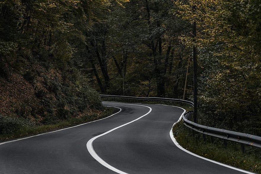 la carretera, campo, bosque, árbol, asfalto, otoño, paisaje, escena rural, curva, viaje, velocidad