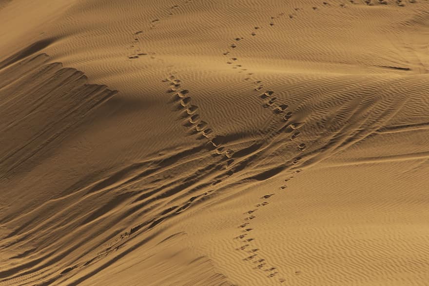 désert, le sable, empreintes de pas, dune, la nature, paysage, sec, Désert de Maranjab, province d'Ispahan, Iran, tourisme