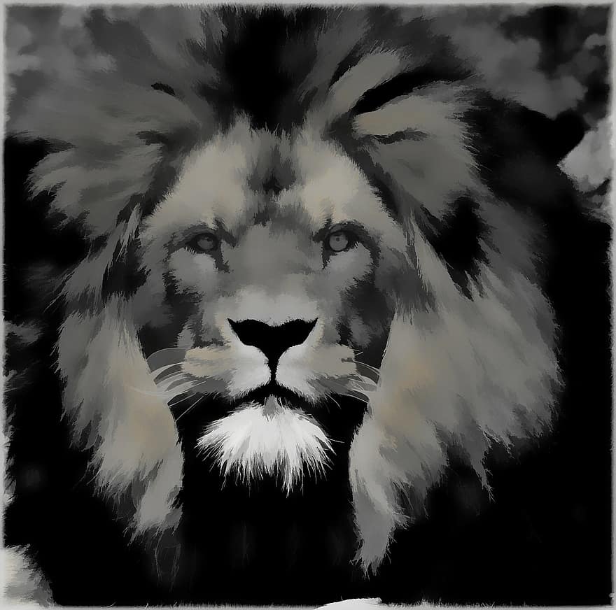 pintura, Preto e branco, arte digital, leão, gato, mamífero, vida selvagem, animal, face, cabeça, criatura