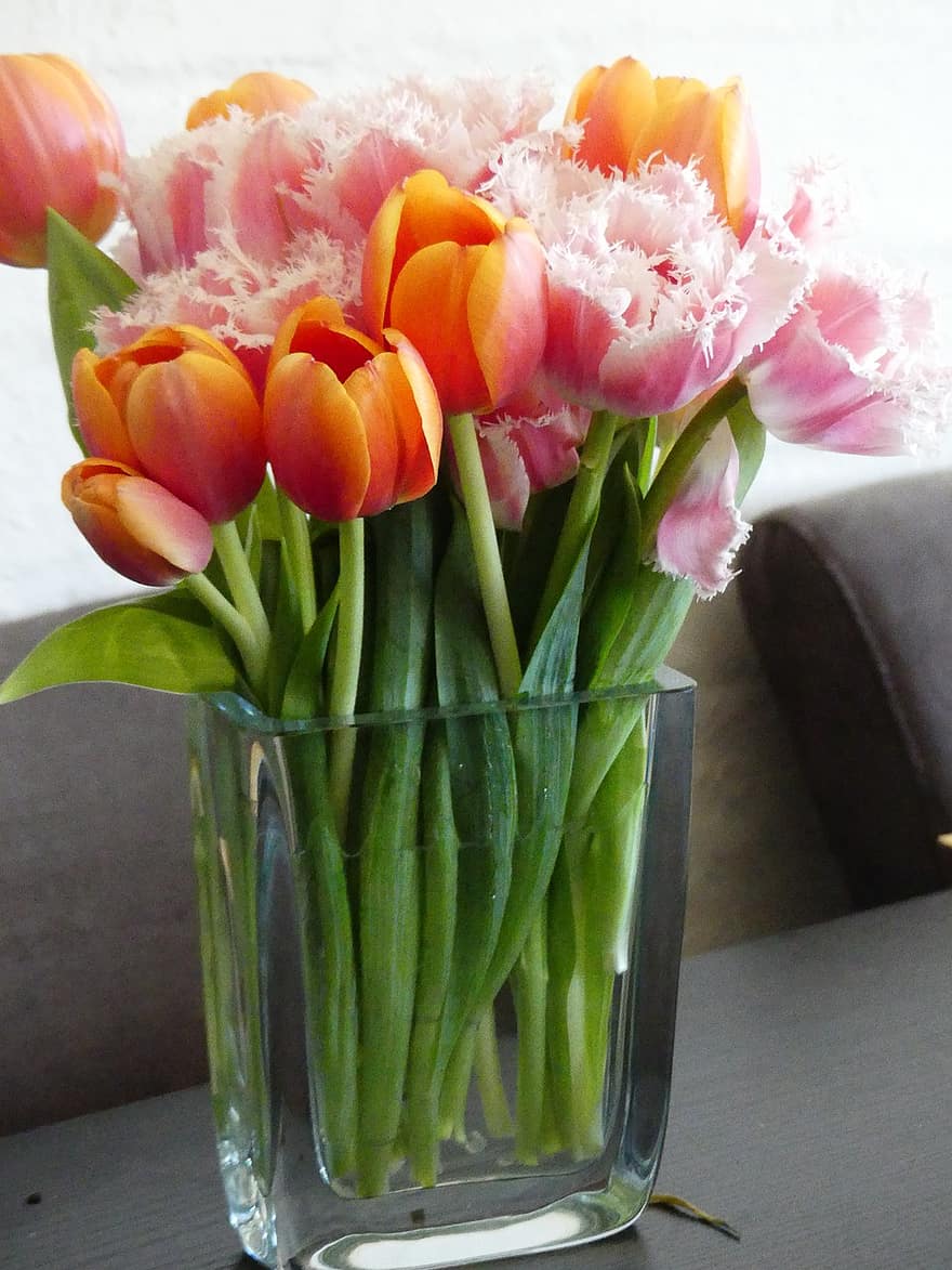 Tulpen, Blumenvase, Vase, Blumen, Gelockte Tulpen, Crispa-Tulpen, Tulpen mit Fransen, rosafarbene Tulpen, orange Tulpen, blühen, Tulpe
