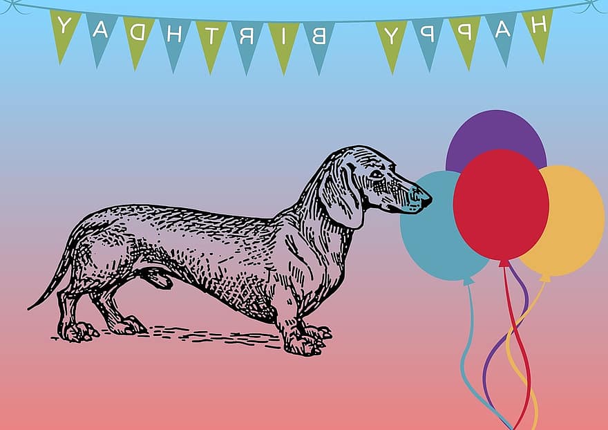 cumpleaños, mapa, tarjeta de felicitación, Cumpleaños de perro salchicha