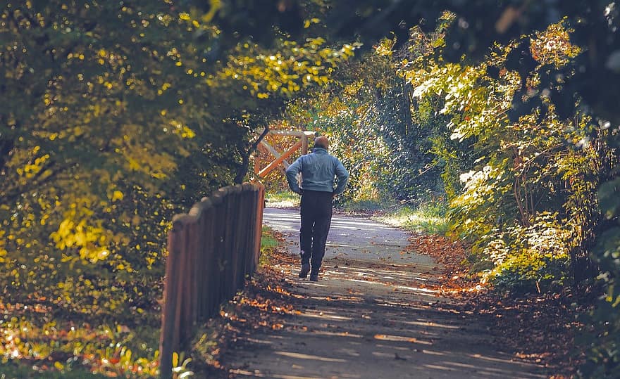 رجل ، يمشي ، منتزه ، مسار ، ممر المشاة ، الأشجار ، اوراق اشجار ، أوراق الشجر ، اوراق الخريف ، أوراق الخريف ، ألوان الخريف