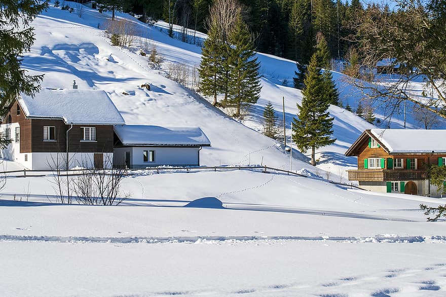 hus, by, vinter-, snö, snödriva, alperna, stad, Brunni, kanton av schwyz, schweiz, träd