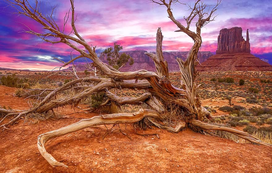 Valle del monumento, formacion de roca, árbol, Desierto, árbol muerto, amanecer, Estados Unidos, rocas rojas, vaquero, atracción turística, paisaje