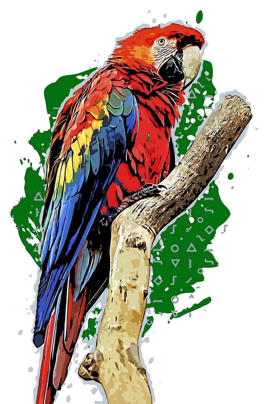 eläin, ara macao, nokka, lintu, värikäs, eläimistö, sulka, yksittäinen, scarlet macaw, papukaija, höyhenpeite