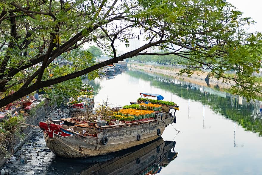 Barche, fiori, sul fiume, alberi, strada, primavera, mercato fluttuante