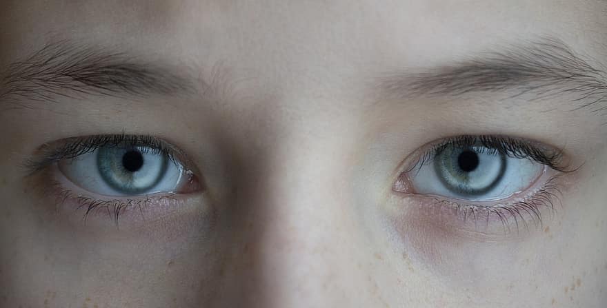 ojos, visión, pestañas, cejas, iris, macro, de cerca, ojo humano, ojos azules, pupila del ojo, persona